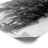 Poster Lecteur de journal (Coin)