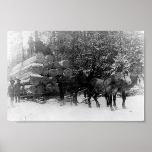 Poster Lecteur de journal