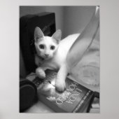 Poster Lecture (Devant)