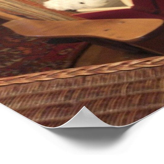 Poster Lecture (Coin)