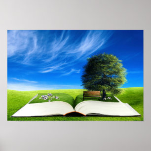 Poster Lecture d'imagination