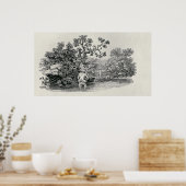 Poster Lecture d'un Saumon (Cuisine)