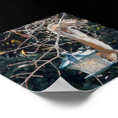 Poster L'écureuil affamé vole de la nourriture de l'éleve (Coin)