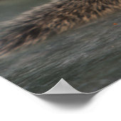 Poster L'écureuil boit dans une tasse à café à l'Indien (Coin)