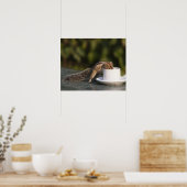 Poster L'écureuil boit dans une tasse à café à l'Indien (Cuisine)