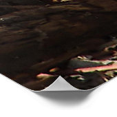 Poster L'écureuil dans une patte de soleil (Coin)