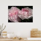 Poster Leda (Cuisine)