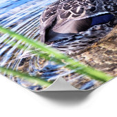 Poster L'effet Grooming (Coin)