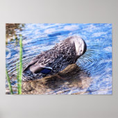 Poster L'effet Grooming (Devant)