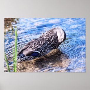 Poster L'effet Grooming