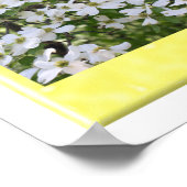 Poster Légende du Dogwood Tree (Coin)