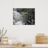 Poster Légende verte (Cuisine)