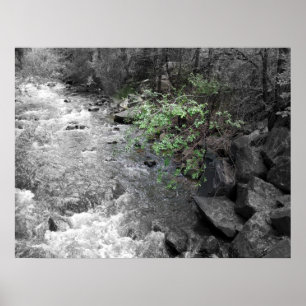 Poster Légende verte