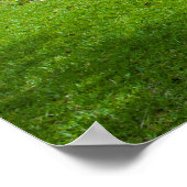 Poster L'Église De Pierre De L'Île De Kwato (Coin)