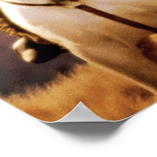 Poster LEGOLAS GREENLEAF™ à cheval (Coin)