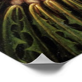 Poster Légumes (Coin)