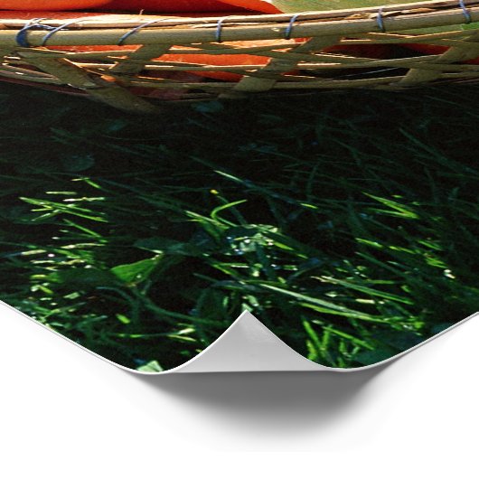 Poster Légumes 5 (Coin)