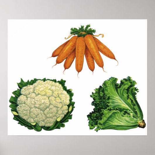 Poster Légumes anciens; carottes, chou-fleur, laitue (Devant)