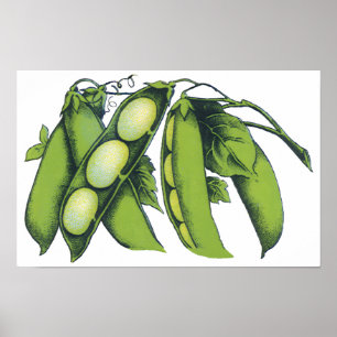 Poster Légumes Anciens; Haricots de Lima, Aliments de Fer