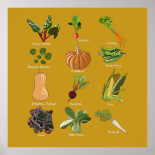 Poster Légumes d'automne Récolte de légumes d'automne