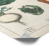 Poster Légumes de cuisine | Charlotte Mary Yonge (Coin)