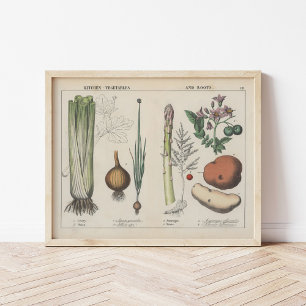 Poster Légumes de cuisine   Charlotte Mary Yonge