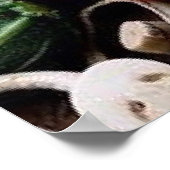 POSTER LÉGUMES DE FRUITS (Coin)