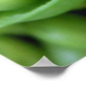 POSTER LÉGUMES DE FRUITS (Coin)