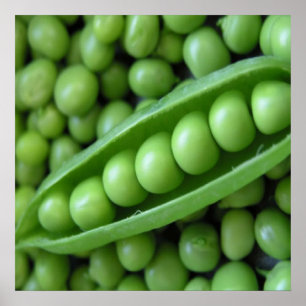 POSTER LÉGUMES DE FRUITS