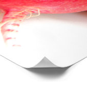 Poster Légumes racines (Coin)