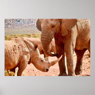 POSTER L'ÉLÉPHANT ET LE RHINO NE S'AIMENT PAS LES UNS LES