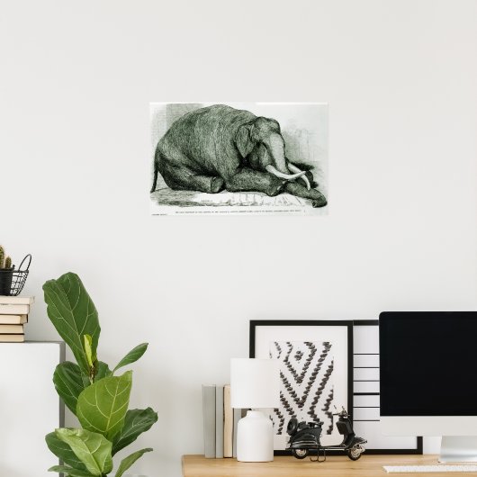 Poster L'éléphant mort (Bureau à domicile)