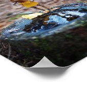 Poster L'elfe de la glande va se durcir (Coin)