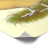 Poster Lemon Cuckoo (Coin)