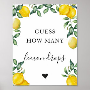 Poster Lemon Devinez combien de Jeu signe