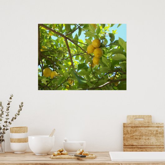 POSTER LEMON TREE (Cuisine)