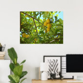 POSTER LEMON TREE (Bureau à domicile)