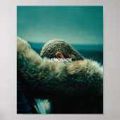 POSTER LEMONADE (Devant)