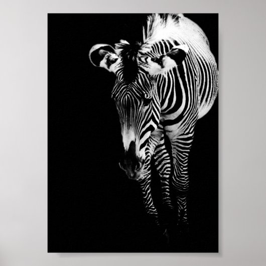 Poster L'empreinte impériale (Devant)