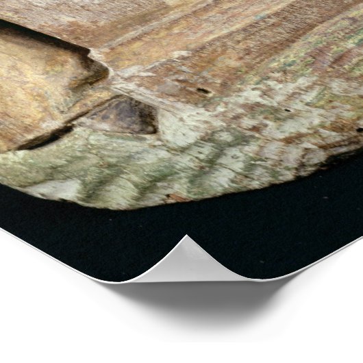 Poster L'Emtombe (Coin)