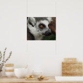 Poster Lemur (Cuisine)