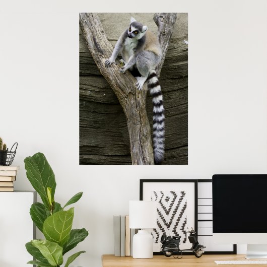 Poster Lemur (Bureau à domicile)