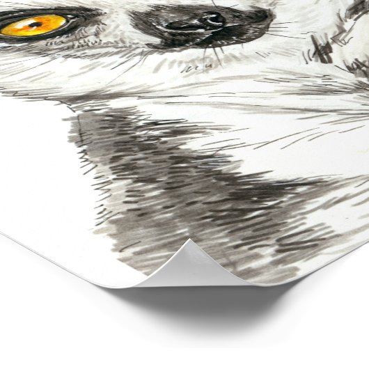 Poster Lemur (Coin)