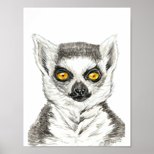 Poster Lemur (Devant)