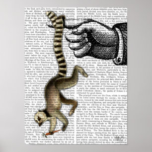 Poster Lémur coupé la queue par anneau sur le doigt