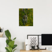 Poster Lémur en fleur - Explorateur à anneaux (Bureau à domicile)