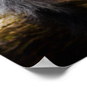 Poster Lémur en voie de disparition (Coin)