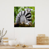 Poster Lémur en voie de disparition (Cuisine)