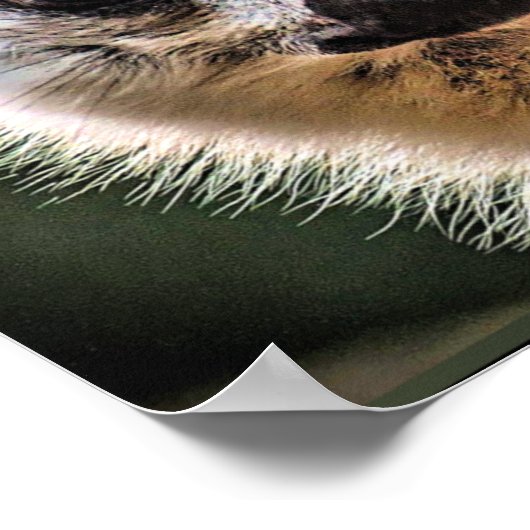 Poster Lemur et Pup (Coin)