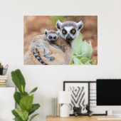 Poster Lémurien à Anneaux sur le Dos de sa Mère (Bureau à domicile)